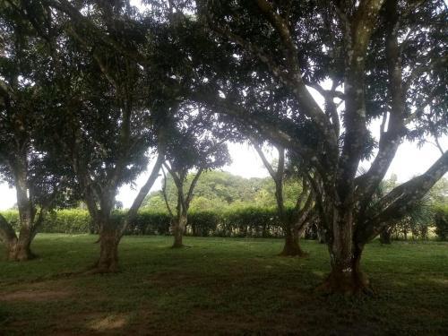 Lodge Los �ngeles