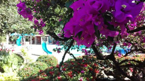 Hotel Balneario Chorillano