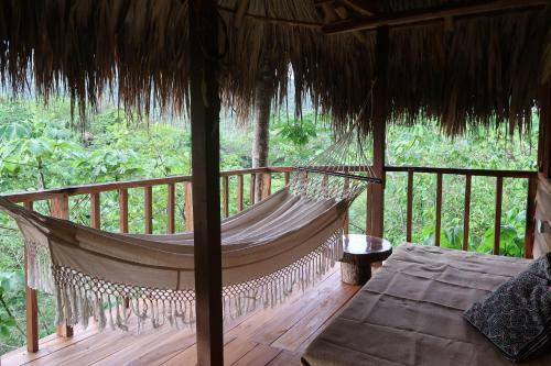 Villa Yira Eco-hotel