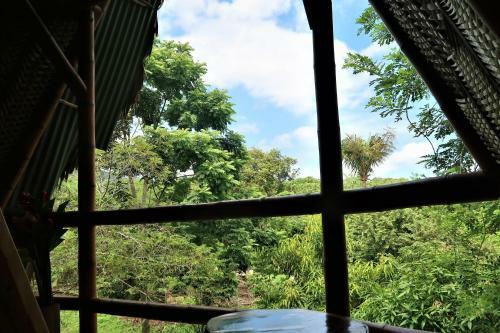 Villa Yira Eco-hotel