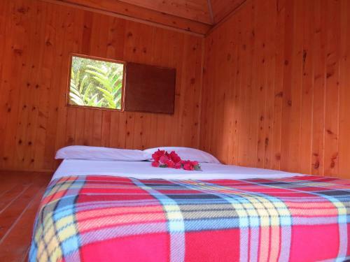 Albergue Sindamanoy Mentecuerpo