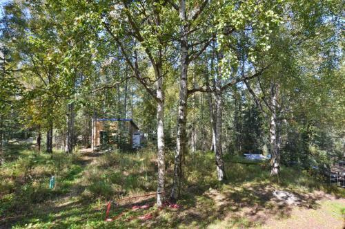 Alaskan Homestead And Ecolodge, Jupiter Garden