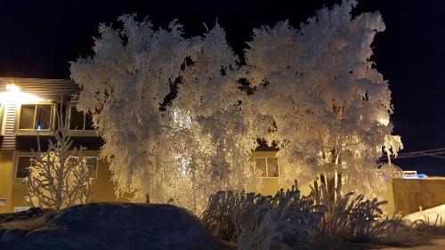 Albergue Ingra House Hotel