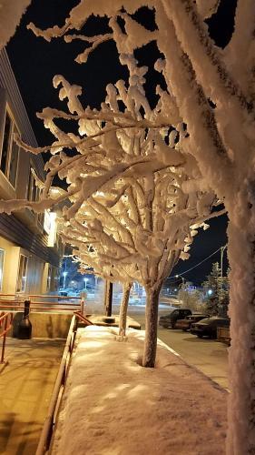 Albergue Ingra House Hotel