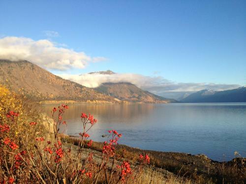 Reflection Lake Bed And Breakfast