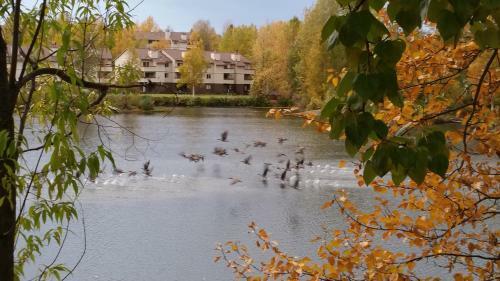 Reflection Lake Bed And Breakfast