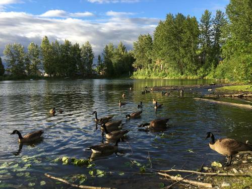 Reflection Lake Bed And Breakfast
