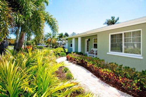 Pretty Palms