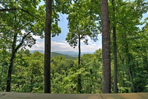 Magnolia Mountain Home