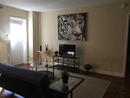 Apartamento Downtown 1 Bedroom Apt 5n