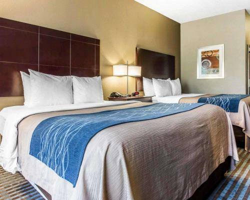Hotel Comfort Inn & Suites Ballpark Area