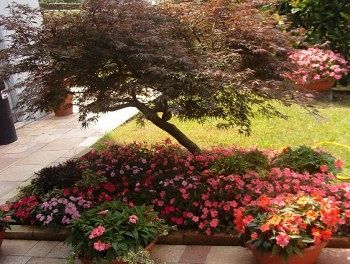 Bed & Breakfast Ostello Aig Bergamo