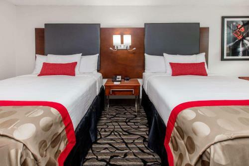 Hotel Ramada By Wyndham Austin South