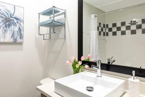 Apartamento Stay Alfred At Muse