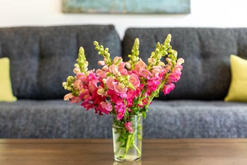 Apartamento Stay Alfred At Muse