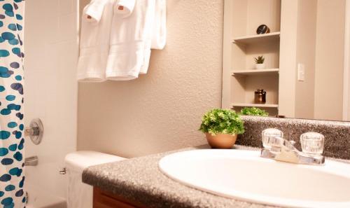 Dormigo Ranch Apartment 3