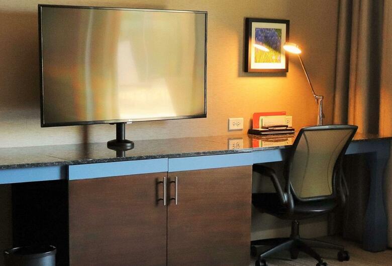 Hotel Hilton Garden Inn Austin Airport
