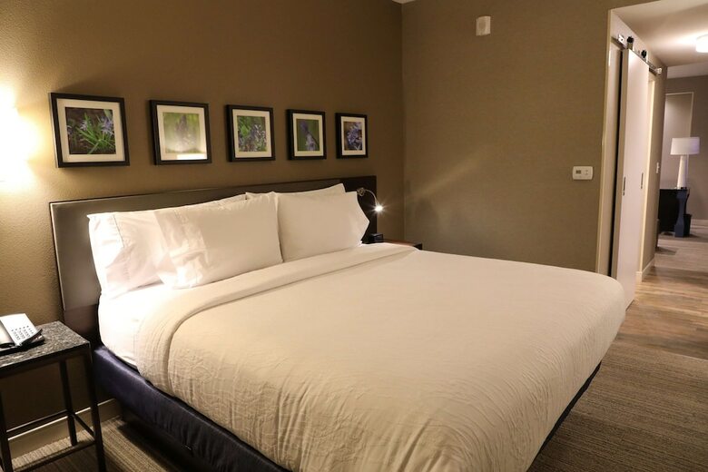Hotel Hilton Garden Inn Austin Airport
