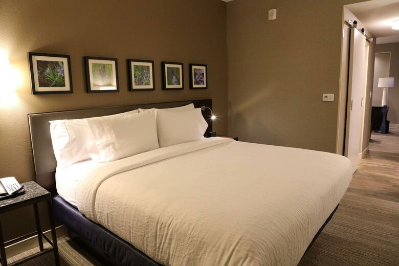 Hotel Hilton Garden Inn Austin Airport
