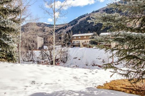 Skier's Retreat