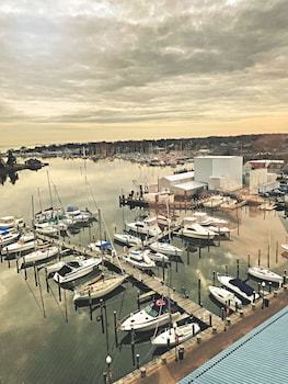 Hotel Crowne Plaza Hampton-marina
