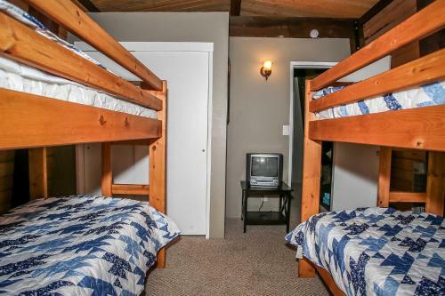 1628 - Coyote Den