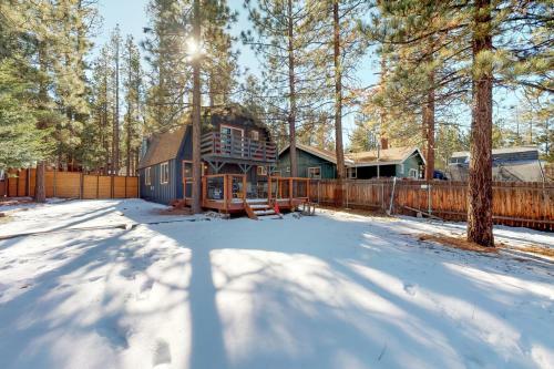 Brown Bear's Den