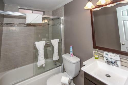 1812 - Mountain Top Grove - Free Ski/board Rental Home