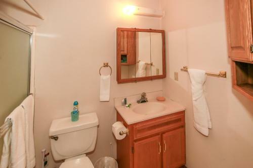 1812 - Mountain Top Grove - Free Ski/board Rental Home
