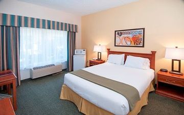 Holiday Inn Express Hotel & Suites Findley Lake (i-86 Exit 4)