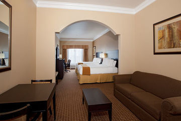 Holiday Inn Express Hotel & Suites Houston-alvin