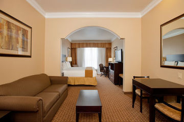 Holiday Inn Express Hotel & Suites Houston-alvin