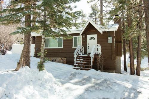 Grizzly Bear By Big Bear Cool Cabins