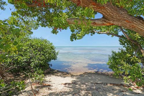 Sunshine Key King Travel Trailer 6