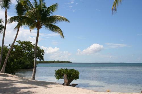 Sunshine Key King Travel Trailer 6