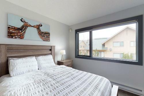 Big Horn 62