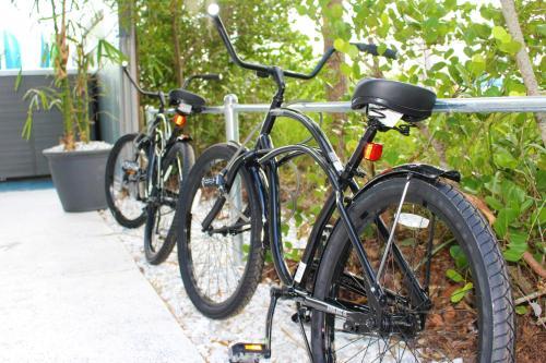 Posada Latitude 26 Waterfront Boutique Resort
