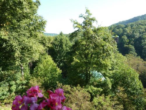 Bearfoot Hideaway