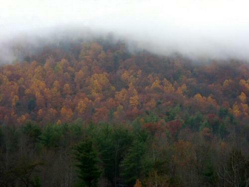 Bearfoot Hideaway