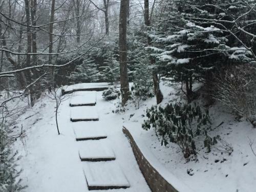 Bearfoot Hideaway