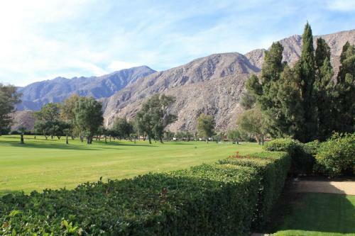 Salomon's Paradise: Desert Home