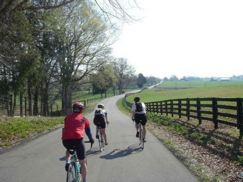 Hostal Relaxation At Kyle's Place