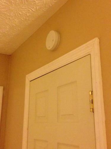 Lewis & Pearl Vacation Apartment A