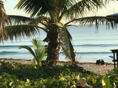 Apartamento Seashell Studio