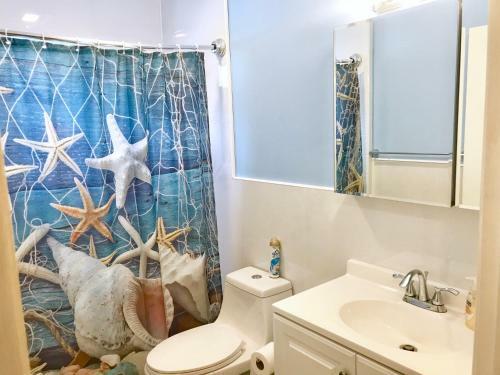 Apartamento Seashell Studio
