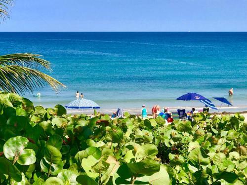 Apartamento Seashell 632a, Your Beach Retreat!