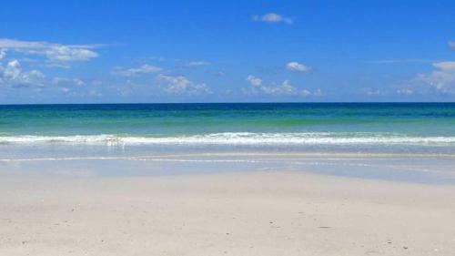 Apartamento A Shore Thing Condo #54579