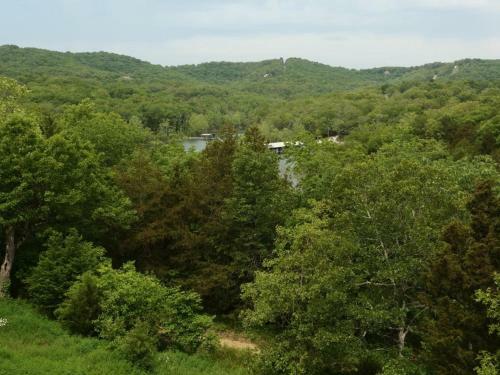 Apartamento Silver Dollar #703597 Condo