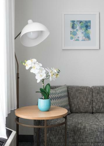 Hotel Towneplace Suites Burlington Williston