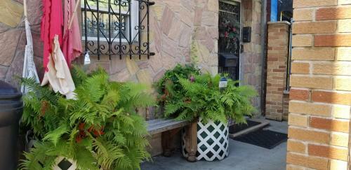 Apartamento Tulsi's Cozy Studio